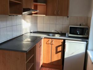 Pronájem bytu 1+kk, Praha - Vysočany, Freyova, 25 m2