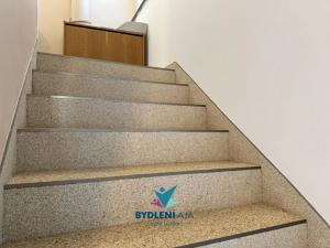 Prodej vily, Roprachtice, 373 m2