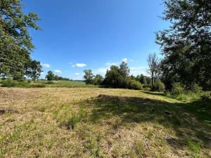 Prodej pozemku pro bydlení, Horní Planá, 4593 m2