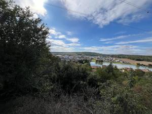 Dražba pozemku pro bydlení, Popůvky, 3239 m2