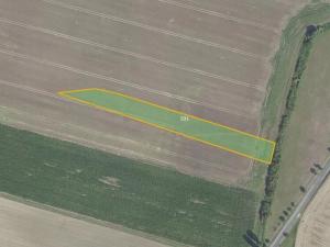 Prodej pole, Městec Králové, 17054 m2