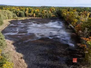 Prodej pozemku, Chlum u Třeboně - Žíteč, 64790 m2