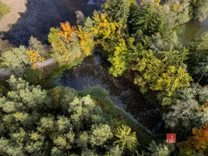 Prodej pozemku, Chlum u Třeboně - Žíteč, 64790 m2