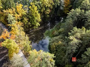 Prodej pozemku, Chlum u Třeboně - Žíteč, 64790 m2