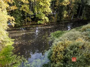Prodej pozemku, Chlum u Třeboně - Žíteč, 64790 m2