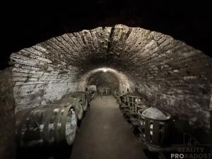 Prodej vinného sklepa, Hrušky, 35 m2