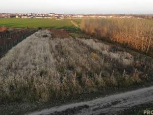 Prodej vinného sklepa, Hrušky, 35 m2