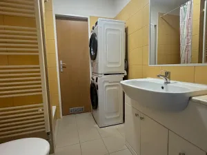 Pronájem bytu 2+1, Lovosice, Osvoboditelů, 64 m2