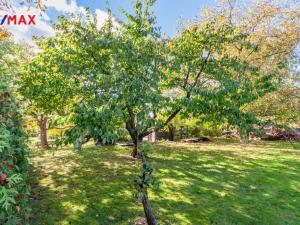 Prodej zahrady, Horní Jiřetín, 623 m2