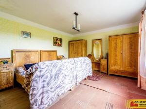 Prodej rodinného domu, Nové Veselí, 301 m2