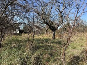 Prodej zahrady, Velké Meziříčí, 1786 m2