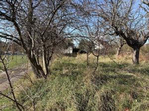 Prodej zahrady, Velké Meziříčí, 1786 m2