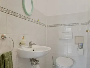 Prodej rodinného domu, Albrechtice nad Orlicí, 1. máje, 191 m2