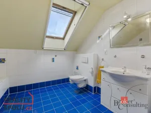 Prodej rodinného domu, Albrechtice nad Orlicí, 1. máje, 191 m2