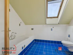 Prodej rodinného domu, Albrechtice nad Orlicí, 1. máje, 191 m2