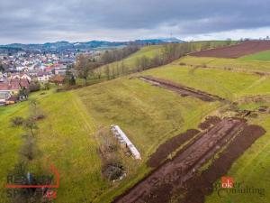 Prodej pozemku pro bydlení, Horní Branná, 1257 m2