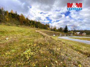 Prodej pozemku pro bydlení, Sázava, 2385 m2