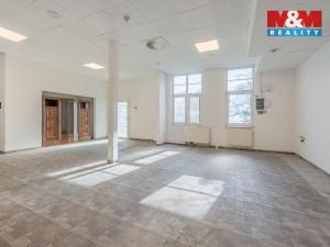 Prodej obchodního prostoru, Praha - Troja, Olštýnská, 450 m2