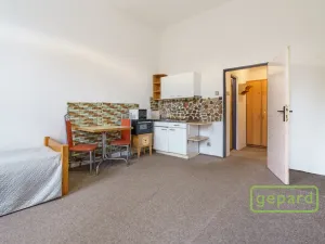 Prodej apartmánu, Sokolov, Svatopluka Čecha, 596 m2