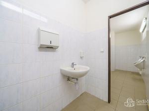 Prodej výrobních prostor, Krásno, Kladenská, 4900 m2