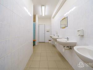 Prodej výrobních prostor, Krásno, Kladenská, 4900 m2