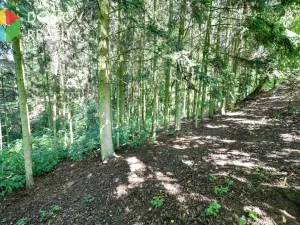 Prodej pole, Mezouň, 2730 m2