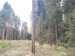 Prodej lesa, Srbice - Těšovice, 2923 m2