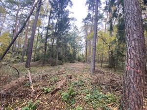 Prodej lesa, Srbice - Těšovice, 2923 m2