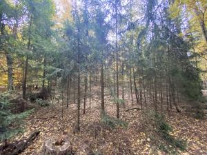 Prodej lesa, Srbice - Těšovice, 2923 m2