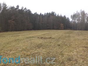 Prodej pole, Zvěstov, 51947 m2