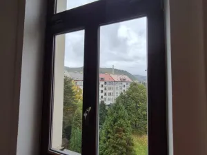 Prodej bytu 1+1, Ústí nad Labem - Střekov, Žukovova, 48 m2