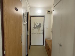 Pronájem bytu 1+kk, Ostrava, Hornopolní, 33 m2