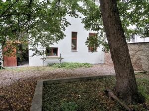 Pronájem bytu 2+kk, Praha - Žižkov, Bořivojova, 49 m2