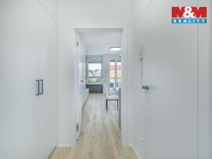 Pronájem bytu 1+kk, Olomouc, Wolkerova, 33 m2