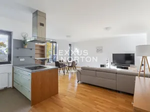 Pronájem bytu 2+kk, Praha - Podolí, V rovinách, 68 m2