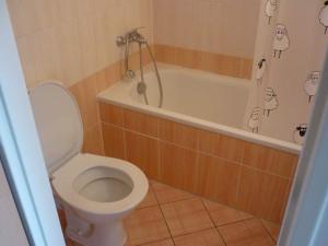 Pronájem bytu 1+kk, Olomouc - Hodolany, Kavaleristů, 26 m2