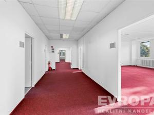 Pronájem kanceláře, Praha, Modřanská, 19 m2