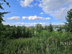 Prodej rodinného domu, Písek, Dolní, 159 m2