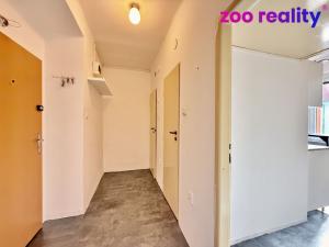 Pronájem bytu 1+1, Chomutov, Čechova, 33 m2