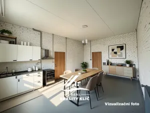 Pronájem bytu 2+kk, Ostrava, Stará cesta, 55 m2