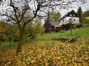 Prodej rodinného domu, Malá Skála, 37 m2