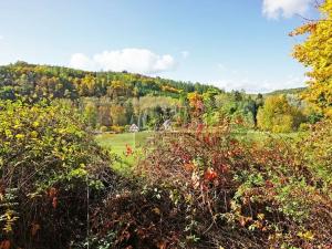 Prodej chaty, Kaliště, 30 m2