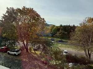 Prodej bytu 1+1, Praha - Braník, Na Mlejnku, 52 m2