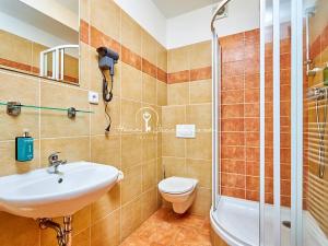 Prodej ubytování, Český Krumlov, Rooseveltova, 270 m2