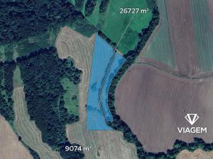 Prodej podílu pole, Kravaře, 6464 m2