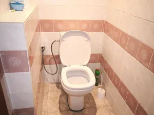 Prodej chalupy, Nová Ves v Horách, 284 m2