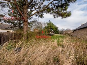 Prodej pozemku pro bydlení, Bechlín, 1430 m2