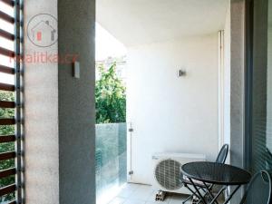 Prodej bytu 2+kk, Praha - Žižkov, Havlíčkovo náměstí, 60 m2