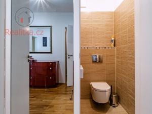 Prodej bytu 2+kk, Praha - Žižkov, Havlíčkovo náměstí, 60 m2