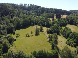 Prodej pozemku pro bydlení, Olešnice v Orlických horách, 2839 m2